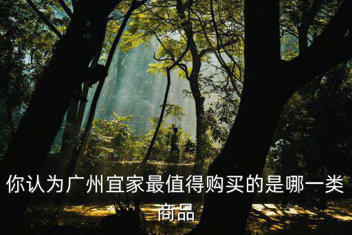 你認為廣州宜家最值得購買的是哪一類商品