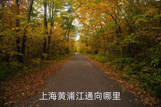 上海市區黃浦江流向，東方明珠在黃浦江的哪個方向在江東還是江西面
