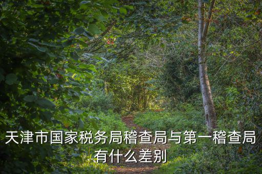 天津市稅務(wù)稽查大隊長，市地稅稽查局辦公室主任什么級別
