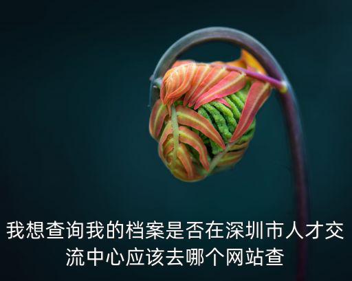 我想查詢我的檔案是否在深圳市人才交流中心應該去哪個網站查