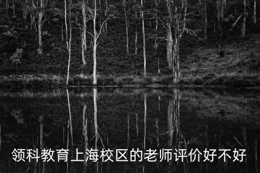 領科教育上海校區的老師評價好不好