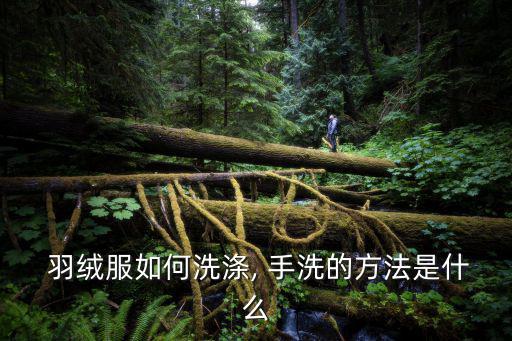  羽絨服如何洗滌, 手洗的方法是什么