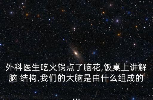 外科醫(yī)生吃火鍋點(diǎn)了腦花,飯桌上講解腦 結(jié)構(gòu),我們的大腦是由什么組成的...