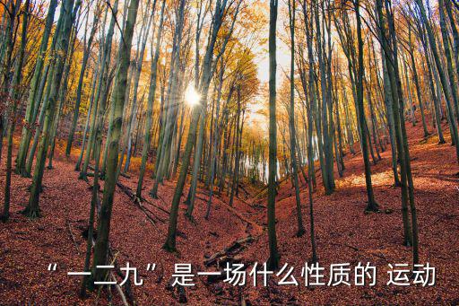 “ 一二九”是一場什么性質的 運動