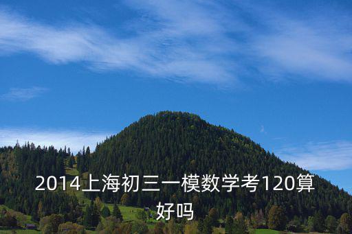 2014上海初三一模數(shù)學考120算好嗎