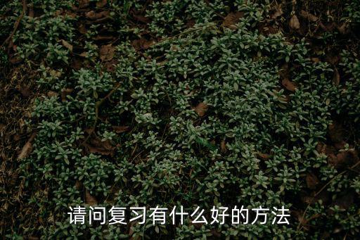 請(qǐng)問復(fù)習(xí)有什么好的方法