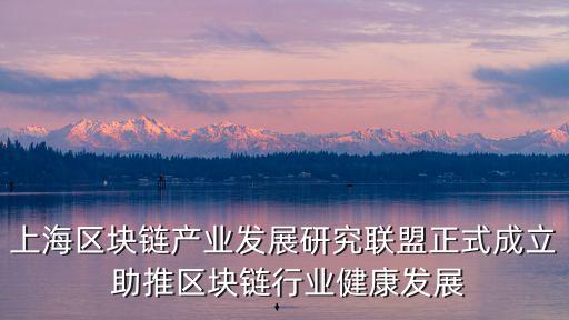 上海區塊鏈產業發展研究聯盟正式成立 助推區塊鏈行業健康發展