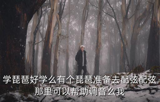 學琵琶好學么有個琵琶準備去配弦配弦那里可以幫助調音么我