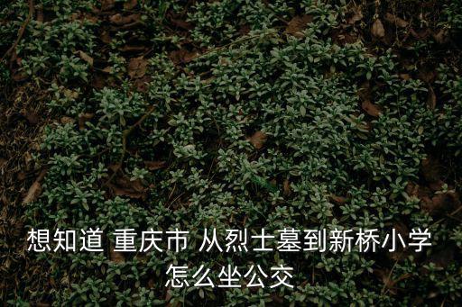 重慶市區輕軌烈士墓至小什至，重慶市烈士墓怎么坐車到渝北悅來會展中心要多長時間