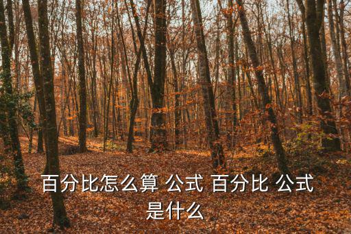  百分比怎么算 公式 百分比 公式是什么
