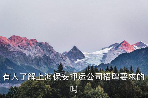 有人了解上海保安押運公司招聘要求的嗎