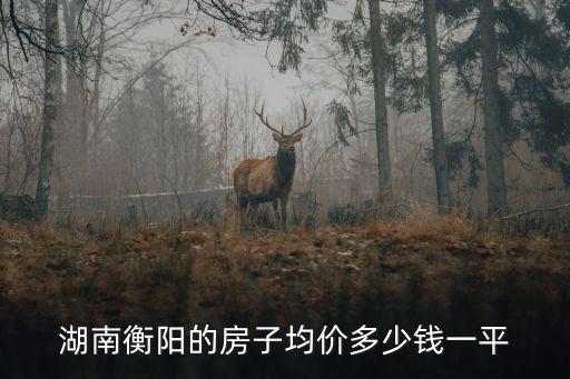 湖南衡陽的房子均價多少錢一平