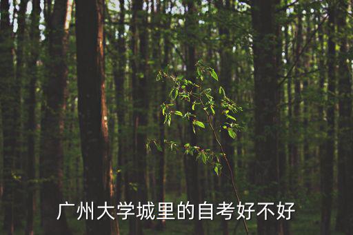 廣州大學城里的自考好不好