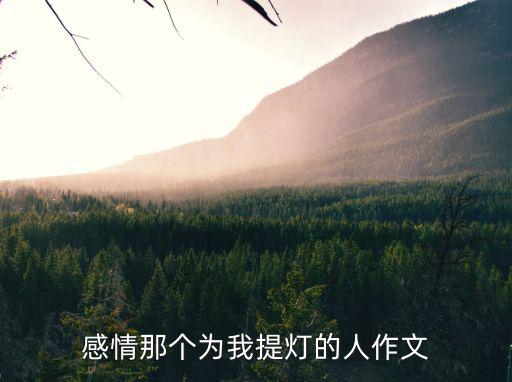 那個為我提燈的人，感情那個為我提燈的人作文