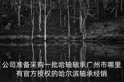 公司準備采購一批哈軸軸承廣州市哪里有官方授權的哈爾濱軸承經(jīng)銷