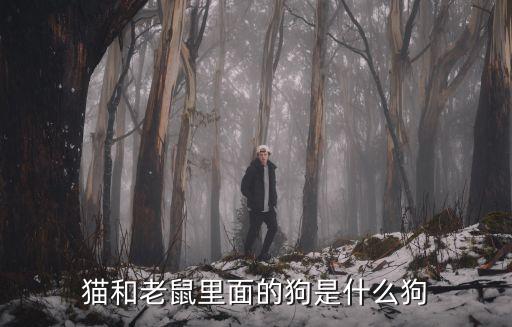 貓和老鼠里面的狗是什么狗