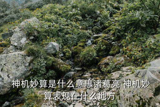  神機妙算是什么意思諸葛亮 神機妙算表現在什么地方