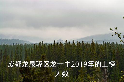 成都龍泉驛區龍一中2019年的上榜人數