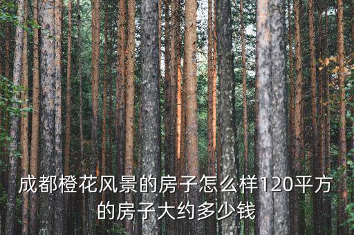 成都橙花風景的房子怎么樣120平方的房子大約多少錢