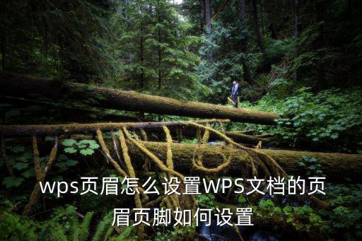 wps頁眉頁腳,怎么用頁眉頁腳修改文字?