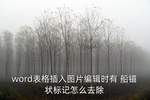 word表格插入圖片編輯時有 船錨狀標記怎么去除