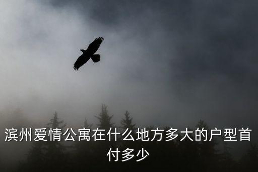 濱州愛情公寓在什么地方多大的戶型首付多少