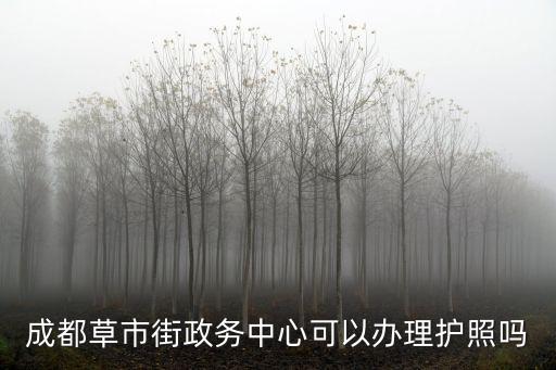 成都市草市街街道辦監(jiān)督平臺，成都草市街政務(wù)中心可以辦理護照嗎