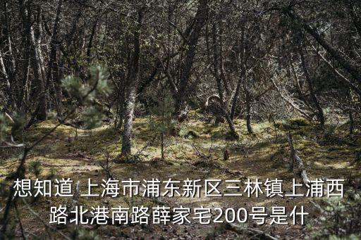 想知道 上海市浦東新區三林鎮上浦西路北港南路薛家宅200號是什