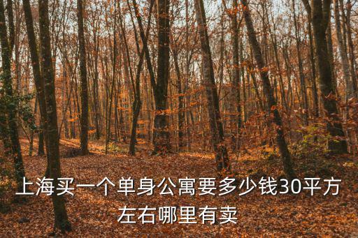 上海買一個單身公寓要多少錢30平方左右哪里有賣