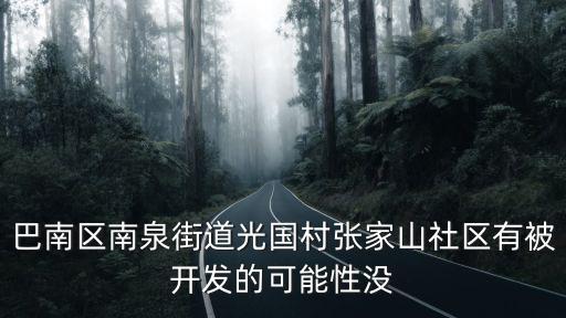 巴南區南泉街道光國村張家山社區有被開發的可能性沒