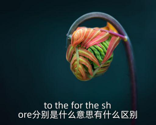 to the for the shore分別是什么意思有什么區別