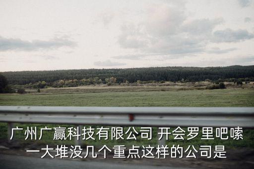 廣州廣贏科技有限公司 開會羅里吧嗦一大堆沒幾個重點這樣的公司是