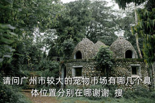 請問廣州市較大的寵物市場有哪幾個具體位置分別在哪謝謝  搜