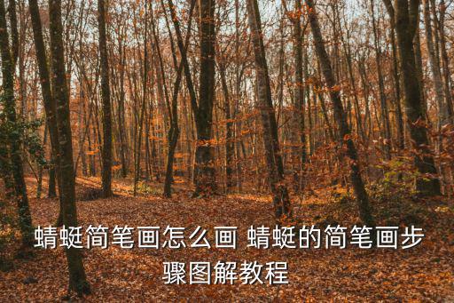 畫蜻蜓,蜻蜓簡筆畫步驟圖解