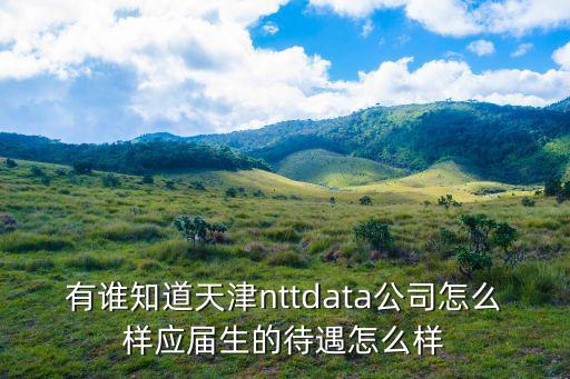 有誰知道天津nttdata公司怎么樣應屆生的待遇怎么樣