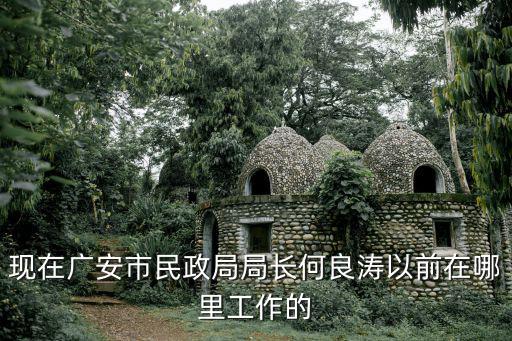 現在廣安市民政局局長何良濤以前在哪里工作的