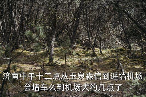 濟南中午十二點從玉泉森信到遙墻機場會堵車么到機場大約幾點了