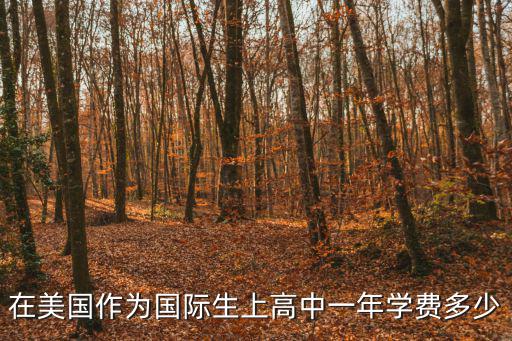 上海美高國際學校費用，國際學校家長必讀美國留學一年費用要多少