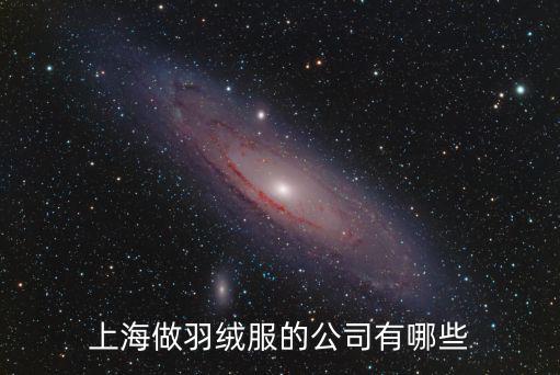 上海做羽絨服的公司有哪些