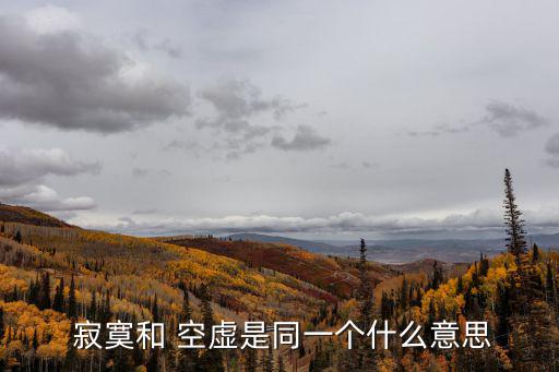  寂寞和 空虛是同一個什么意思