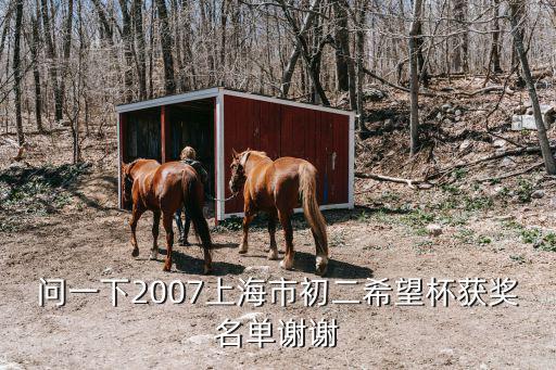 問一下2007上海市初二希望杯獲獎名單謝謝