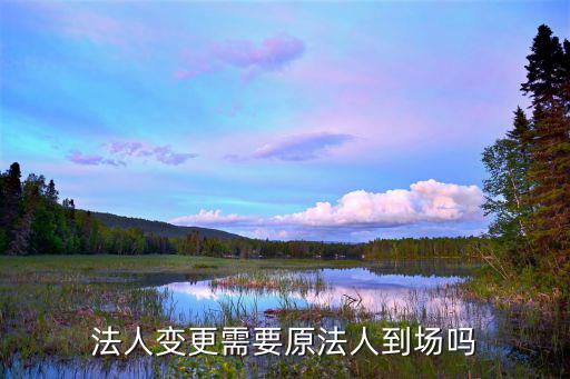 法人變更需要原法人到場嗎
