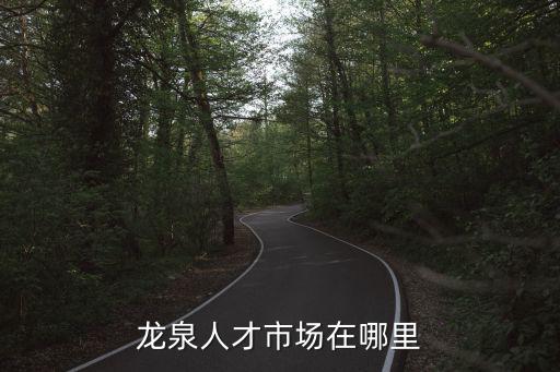 龍泉人才市場在哪里