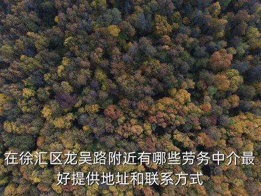 在徐匯區龍吳路附近有哪些勞務中介最好提供地址和聯系方式