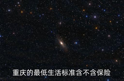 重慶的最低生活標(biāo)準(zhǔn)含不含保險