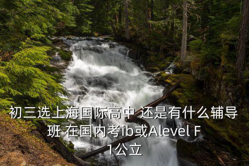 初三選上海國際高中 還是有什么輔導班 在國內考ib或Alevel F1公立