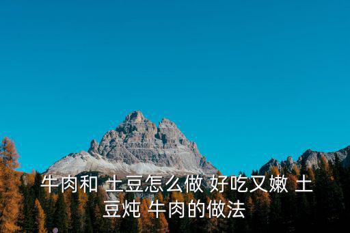  牛肉和 土豆怎么做 好吃又嫩 土豆燉 牛肉的做法