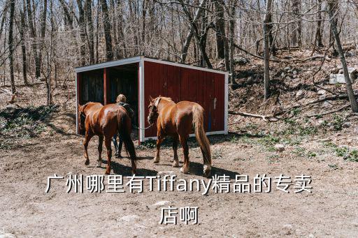 廣州哪里有Tiffany精品的專賣店啊