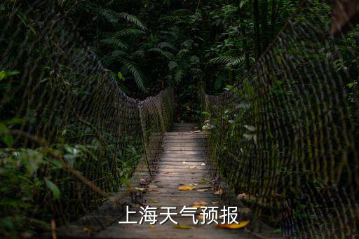 上海天氣預(yù)報