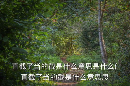  直截了當的截是什么意思是什么( 直截了當的截是什么意思思